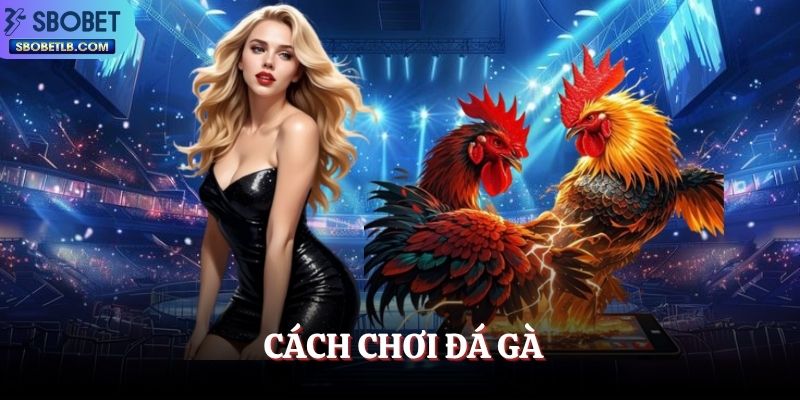cach-choi-da-ga