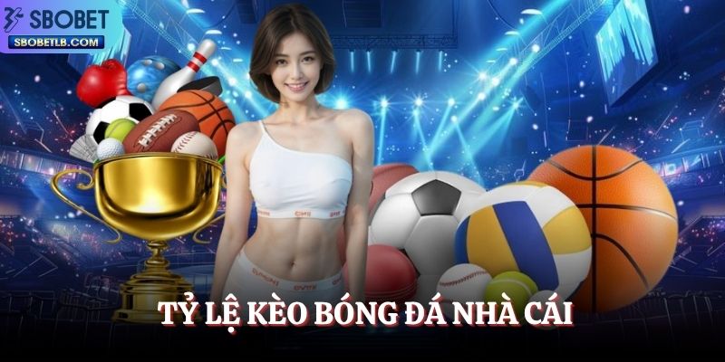 ty-le-keo-bong-da-nha-cai